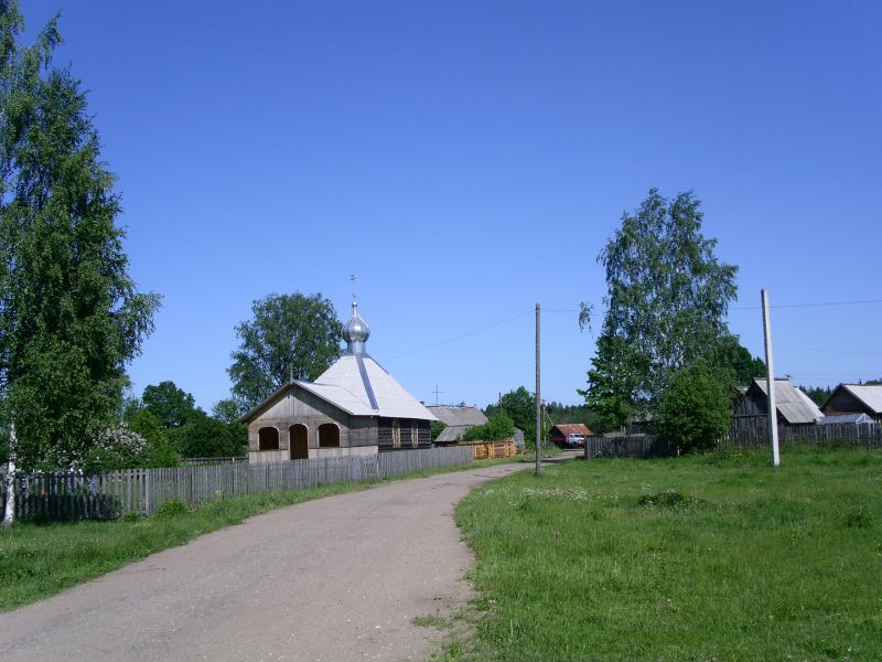 Часовня Илии Пророка, Дворищи (Маловишерский район, Новгородская область). общий вид в ландшафте
