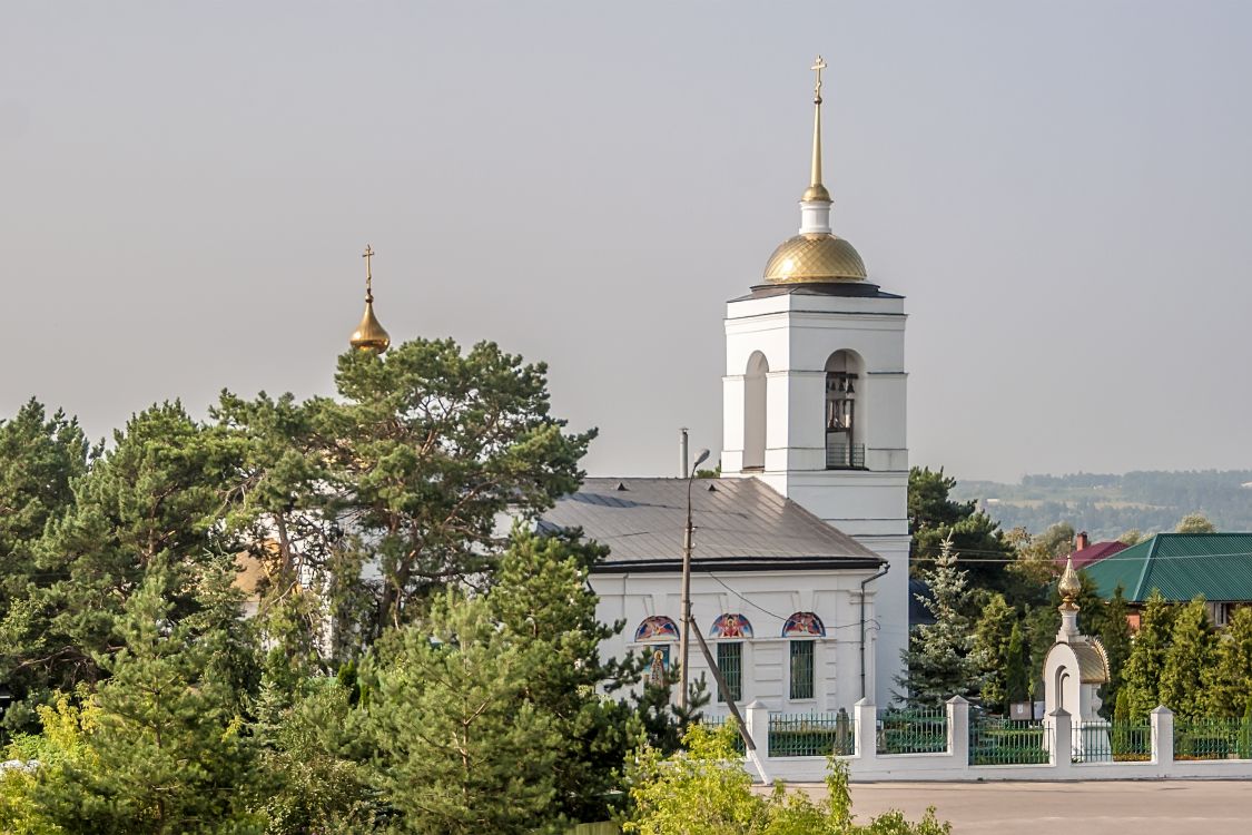 Церковь Троицы Живоначальной, Лужники (Ступинский городской округ, Московская область). фасады