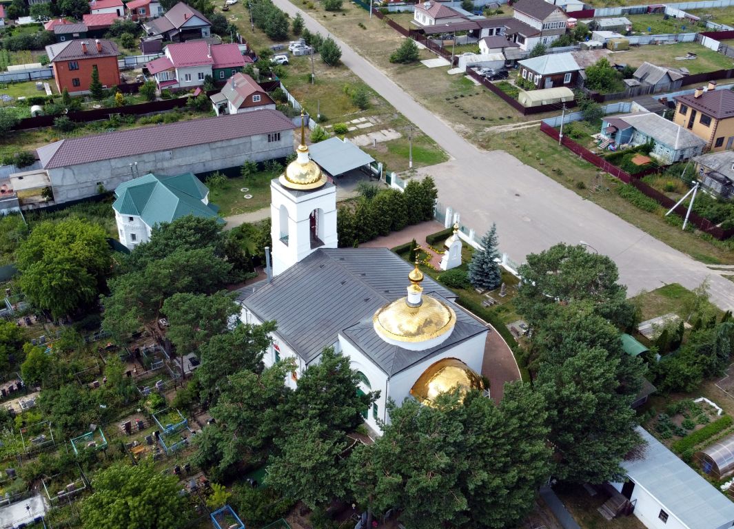 Церковь Троицы Живоначальной, Лужники (Ступинский городской округ, Московская область). общий вид в ландшафте