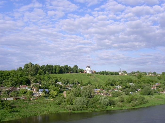 Кафедральный собор Успения Пресвятой Богородицы (новый), Алексин (Алексинский район и пос. Новогуровский, Тульская область). общий вид в ландшафте