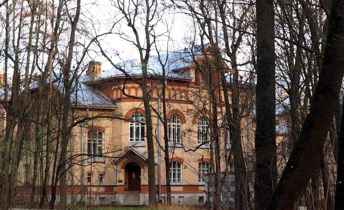 Домовая церковь Димитрия Солунского и Марии Египетской при бывшем приюте М.А. Дрожжиной, Пушкин (Царское Село) (Санкт-Петербург, Пушкинский район, г. Санкт-Петербург). фасады