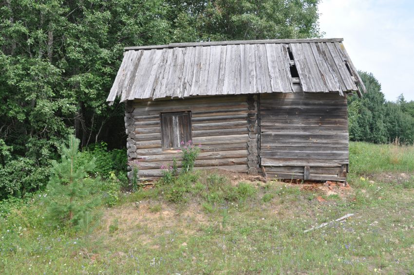Часовня Владимирской иконы Божией Матери, Орлово (Каргопольский район, Архангельская область). общий вид в ландшафте