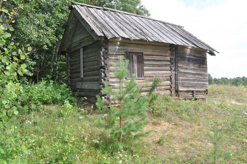 Часовня Владимирской иконы Божией Матери, Орлово (Каргопольский район, Архангельская область). общий вид в ландшафте
