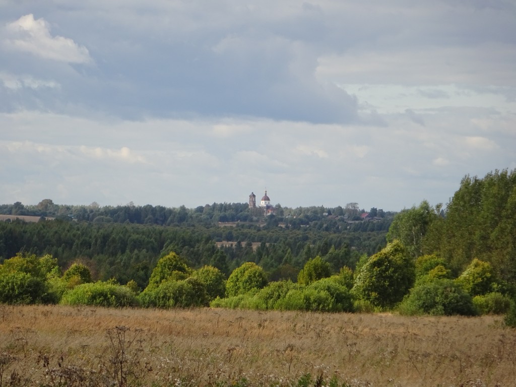 Церковь Рождества Христова, Якимовское (Ростовский район, Ярославская область). общий вид в ландшафте