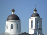 Церковь Троицы Живоначальной - Шахово - Кромской район - Орловская область