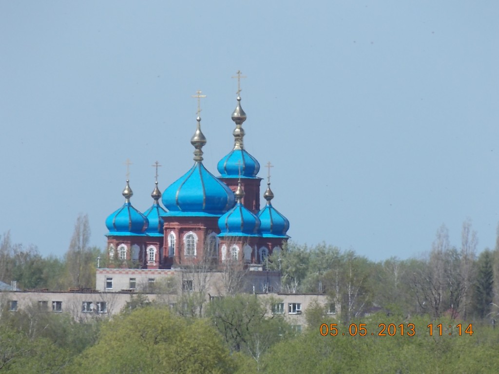 Собор Покрова Пресвятой Богородицы, Петровск (Петровский район, Саратовская область). общий вид в ландшафте