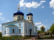 Церковь Покрова Пресвятой Богородицы, , Спасское (Салтыки), Орловский район, Орловская область