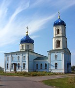 Церковь Покрова Пресвятой Богородицы, Церковь Покрова Пресвятой Богородицы в селе Салтыки.
<br>, Спасское (Салтыки), Орловский район, Орловская область