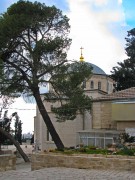 Елеонский Спасо-Вознесенский женский монастырь, , Иерусалим - Масличная гора, Израиль, Прочие страны