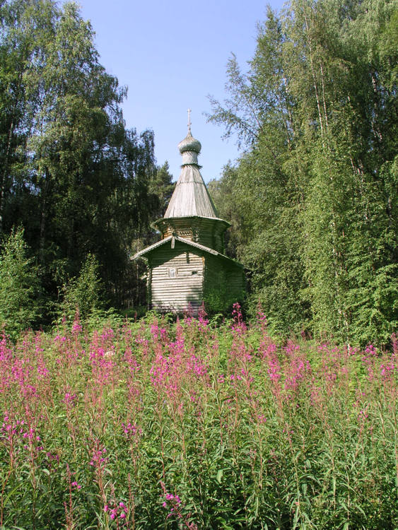 Муезерский Троицкий монастырь. Церковь Николая Чудотворца, Троица, остров (Беломорский район, Республика Карелия). общий вид в ландшафте
