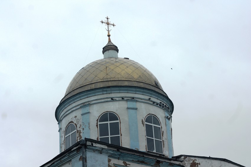 Церковь Параскевы Пятницы, Боево (Каширский район, Воронежская область). архитектурные детали