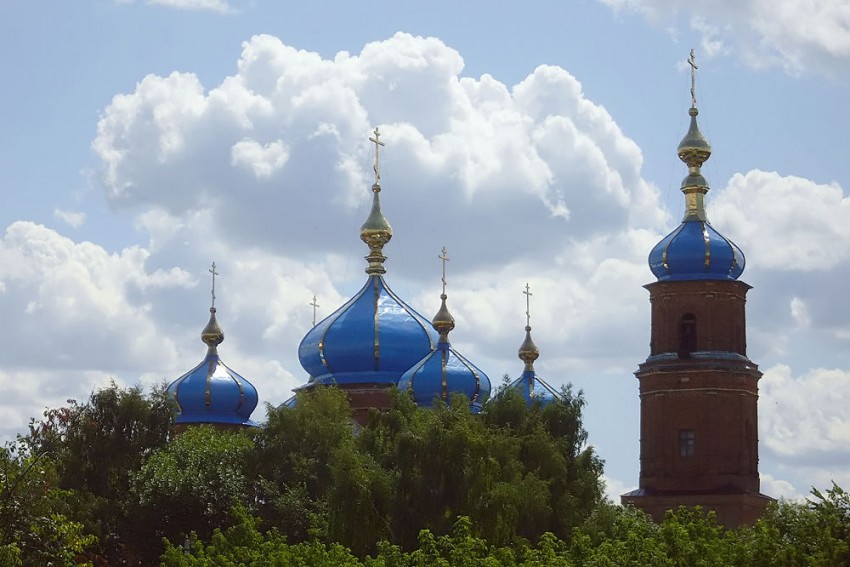 Петровск. Собор Покрова Пресвятой Богородицы. общий вид в ландшафте