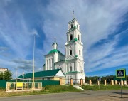 Церковь Преображения Господня, Вид с северо-запада<br>, Батурино, Шадринский район и г. Шадринск, Курганская область