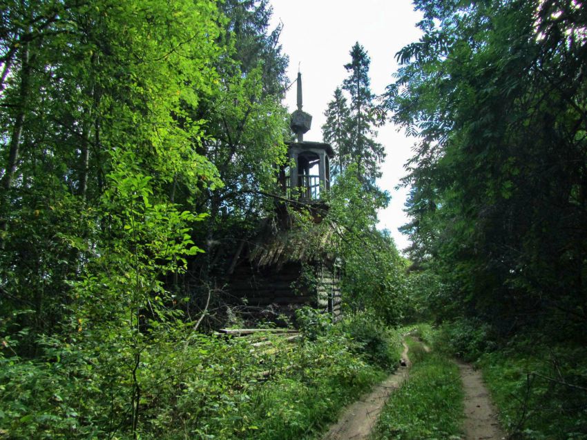 Часовня Анастасии Узорешительницы, Татарская Гора (Тамбич-Озеро) (Пудожский район, Республика Карелия). общий вид в ландшафте, вид с севера