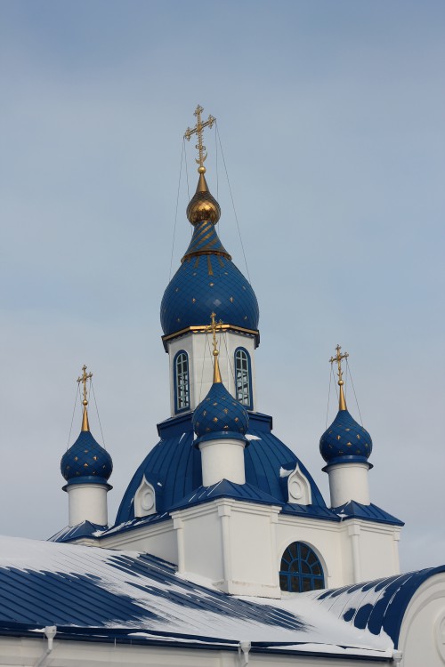 Церковь Покрова Пресвятой Богородицы, Отрадное (Новоусманский район, Воронежская область). архитектурные детали