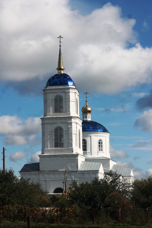 Орлово. Церковь Богоявления Господня. общий вид в ландшафте