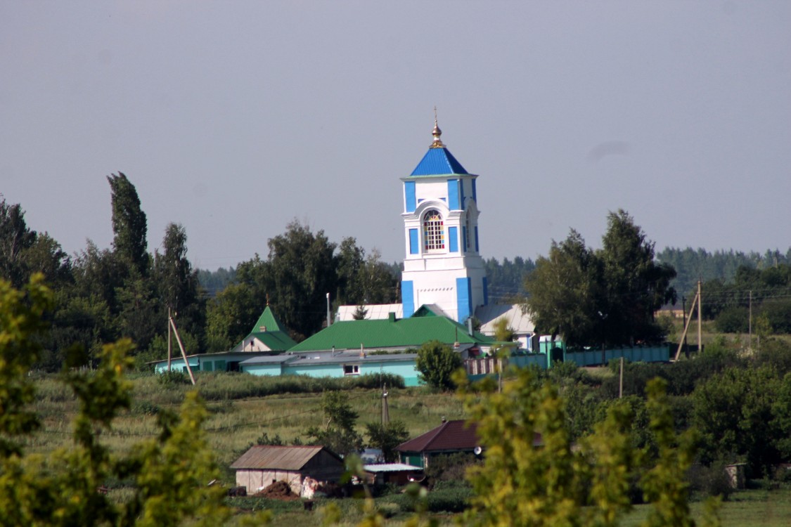 Церковь Вознесения Господня, Избище (Семилукский район, Воронежская область). общий вид в ландшафте