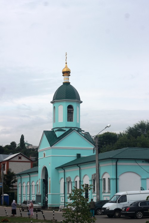 Церковь Митрофана Воронежского на Митрофановском источнике, Воронеж (Воронеж, город, Воронежская область). общий вид в ландшафте
