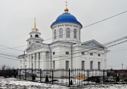 Церковь Михаила Архангела, , Девица, Семилукский район, Воронежская область
