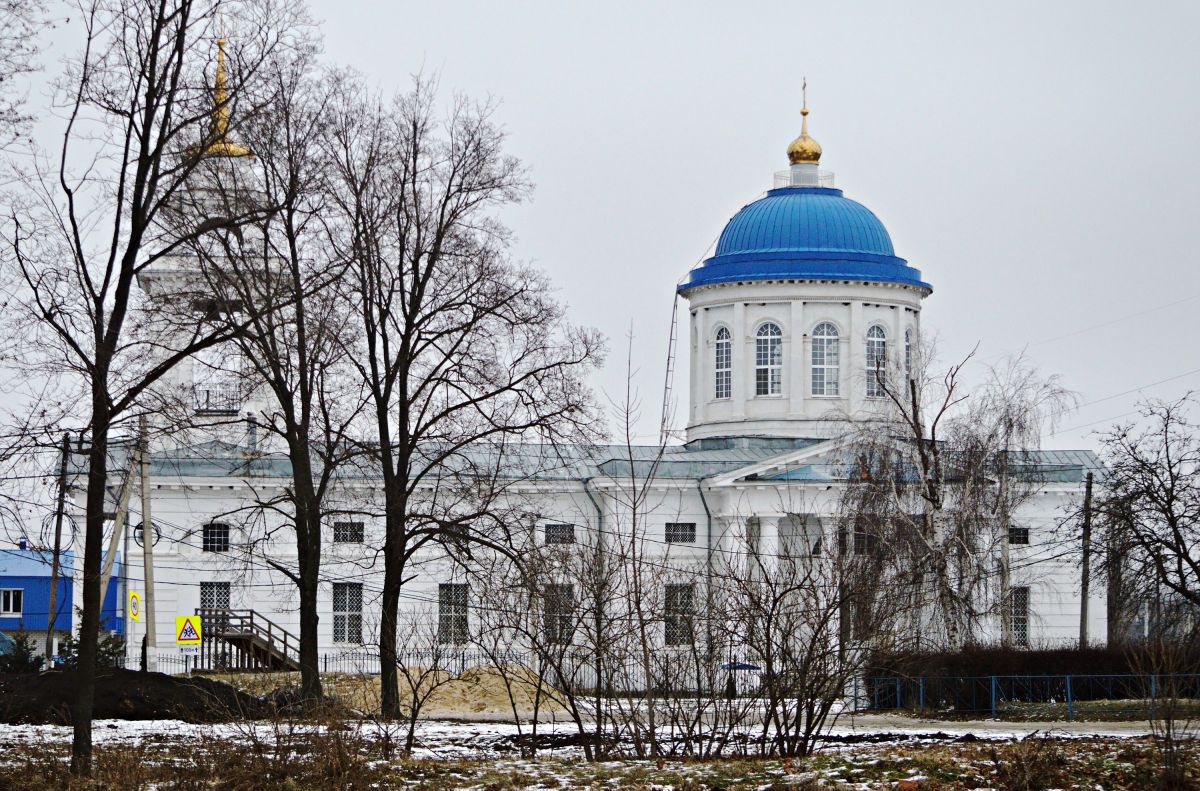 Церковь Михаила Архангела, Девица (Семилукский район), фотография. фасады
