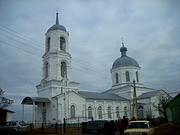 Церковь Троицы Живоначальной, , Тресоруково, Лискинский район, Воронежская область