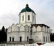 Толшевский Спасо-Преображенский женский монастырь. Собор Преображения Господня, , Толши, Воронеж, город, Воронежская область