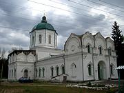 Толшевский Спасо-Преображенский женский монастырь. Собор Спаса Преображения, , Толши, Воронеж, город, Воронежская область