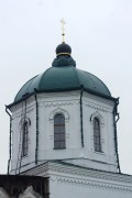 Толши. Толшевский Спасо-Преображенский женский монастырь. Собор Спаса Преображения