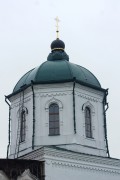 Толшевский Спасо-Преображенский женский монастырь. Собор Преображения Господня, , Толши, Воронеж, город, Воронежская область