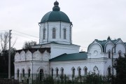 Толшевский Спасо-Преображенский женский монастырь. Собор Спаса Преображения, , Толши, Воронеж, город, Воронежская область