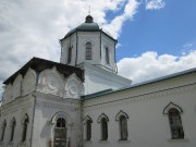 Толшевский Спасо-Преображенский женский монастырь. Собор Преображения Господня, , Толши, Воронеж, город, Воронежская область