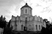 Толшевский Спасо-Преображенский женский монастырь. Собор Преображения Господня, , Толши, Воронеж, город, Воронежская область