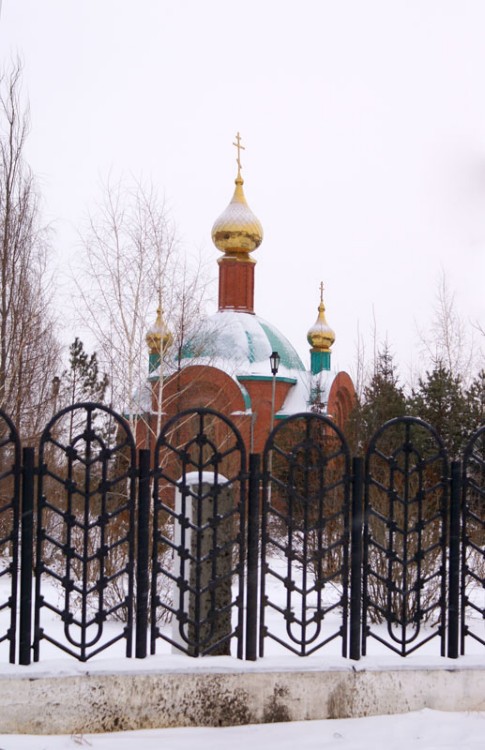 Часовня Алексия, митрополита Московского при Академии МВД, Омск (Омск, город, Омская область). общий вид в ландшафте