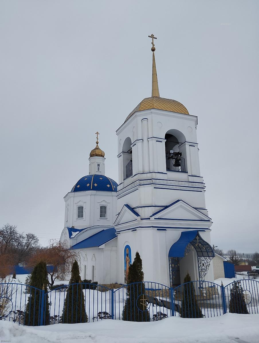 фасады. Церковь Рождества Христова, Манино (Хлевенский район, Липецкая область)