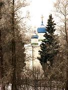 Церковь Троицы Живоначальной, , Ваулово, Чеховский городской округ, Московская область