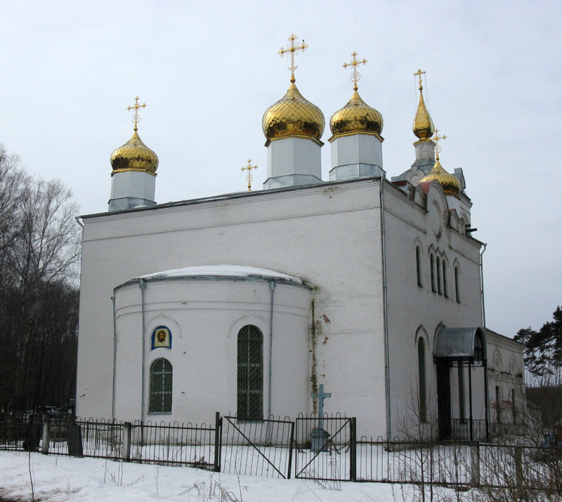 Церковь Троицы Живоначальной, Ваулово (Чеховский городской округ, Московская область). фасады