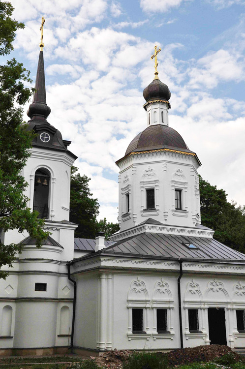 Церковь Рождества Пресвятой Богородицы, Васькино (Чеховский городской округ, Московская область). фасады