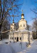 Церковь Рождества Пресвятой Богородицы, , Васькино, Чеховский городской округ, Московская область