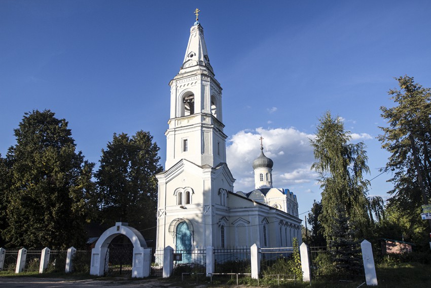 Вязовка. Церковь Казанской иконы Божией Матери. общий вид в ландшафте