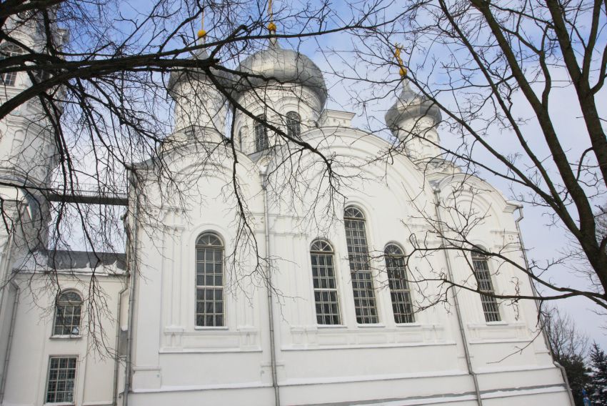 Церковь Симеона Столпника, Каменец (Каменецкий район, Беларусь, Брестская область). архитектурные детали