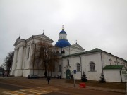 Успенский мужской монастырь. Собор Успения Пресвятой Богородицы, , Жировичи, Слонимский район, Беларусь, Гродненская область