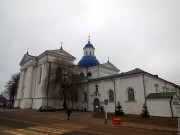 Успенский мужской монастырь. Собор Успения Пресвятой Богородицы, Фотография сайта rustemple.narod.ru<br>, Жировичи, Слонимский район, Беларусь, Гродненская область