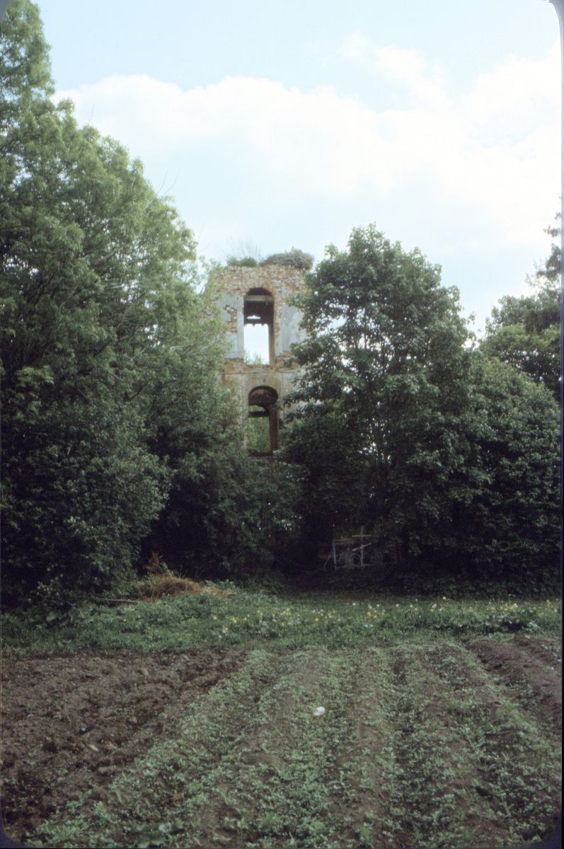 фасады. Колокольня церкви Покрова Пресвятой Богородицы, Синее Устье (Островский район, Псковская область)