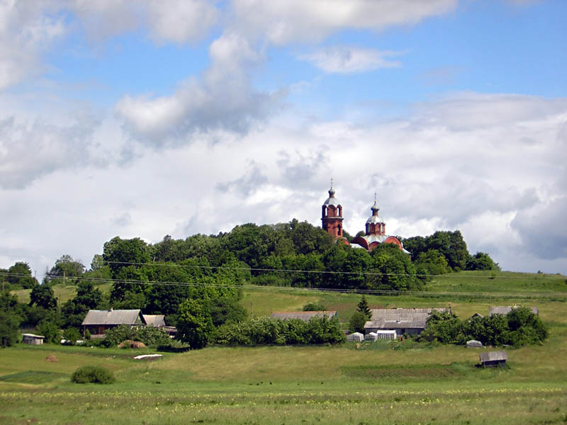 Церковь Бориса и Глеба, Вышгородок (Пыталовский район, Псковская область). общий вид в ландшафте