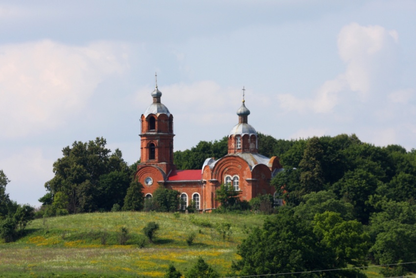 Церковь Бориса и Глеба, Вышгородок (Пыталовский район, Псковская область). общий вид в ландшафте