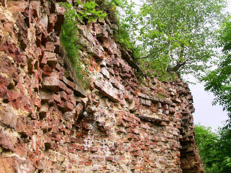 Церковь Вознесения Господня (старая), Вознесенье (Тарусский район, Калужская область). архитектурные детали, фрагмент западного фасада