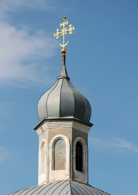 Церковь Вознесения Господня, Аношкино (Лискинский район, Воронежская область). фасады, купол