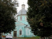 Церковь Михаила Архангела в Репном, , Воронеж, Воронеж, город, Воронежская область