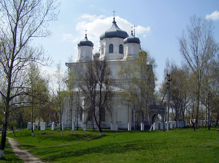 Церковь Петра и Павла, Репьёвка (Репьёвский район, Воронежская область). общий вид в ландшафте