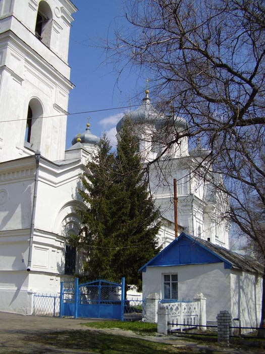 Церковь Петра и Павла, Репьёвка (Репьёвский район, Воронежская область). архитектурные детали